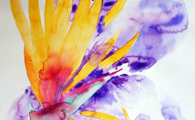 is there so much hate for the ones we love (2) akvarel, 70x56cm, septembar 2022 (1).jpg