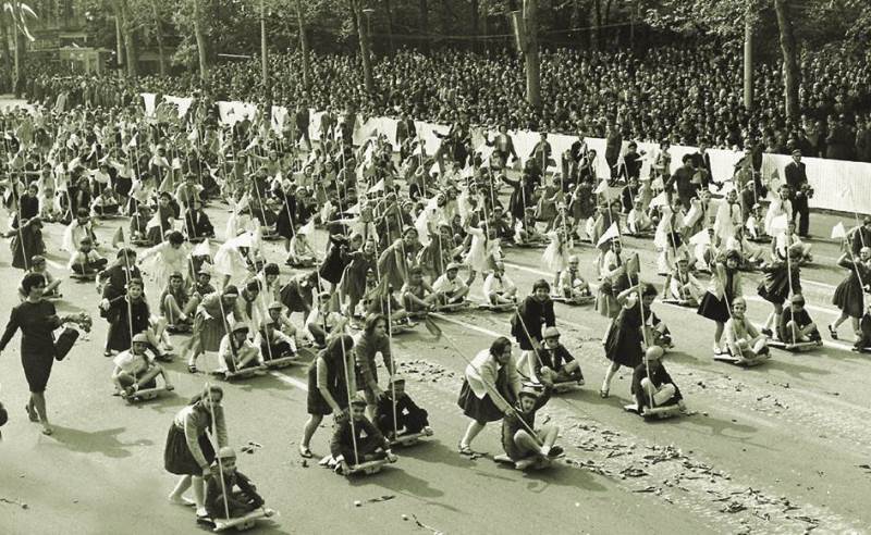 Ivana Dobrivojevic Tomic Izmedju nebrige i neznanja.jpg