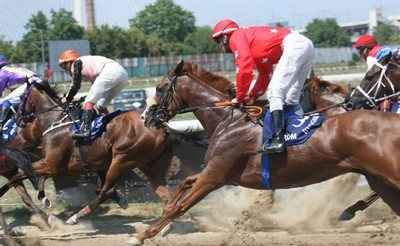 hipodrom.jpg