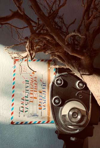 Lana Vasiljević.jpg