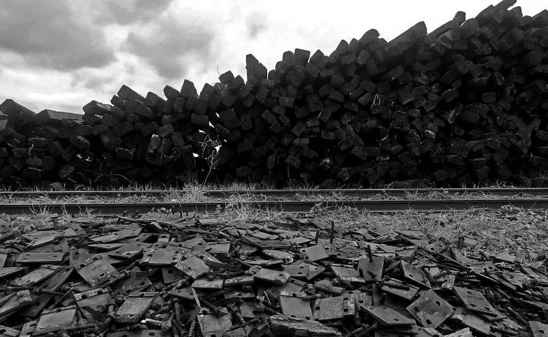 Izložba Tatjane Marticki.jpg