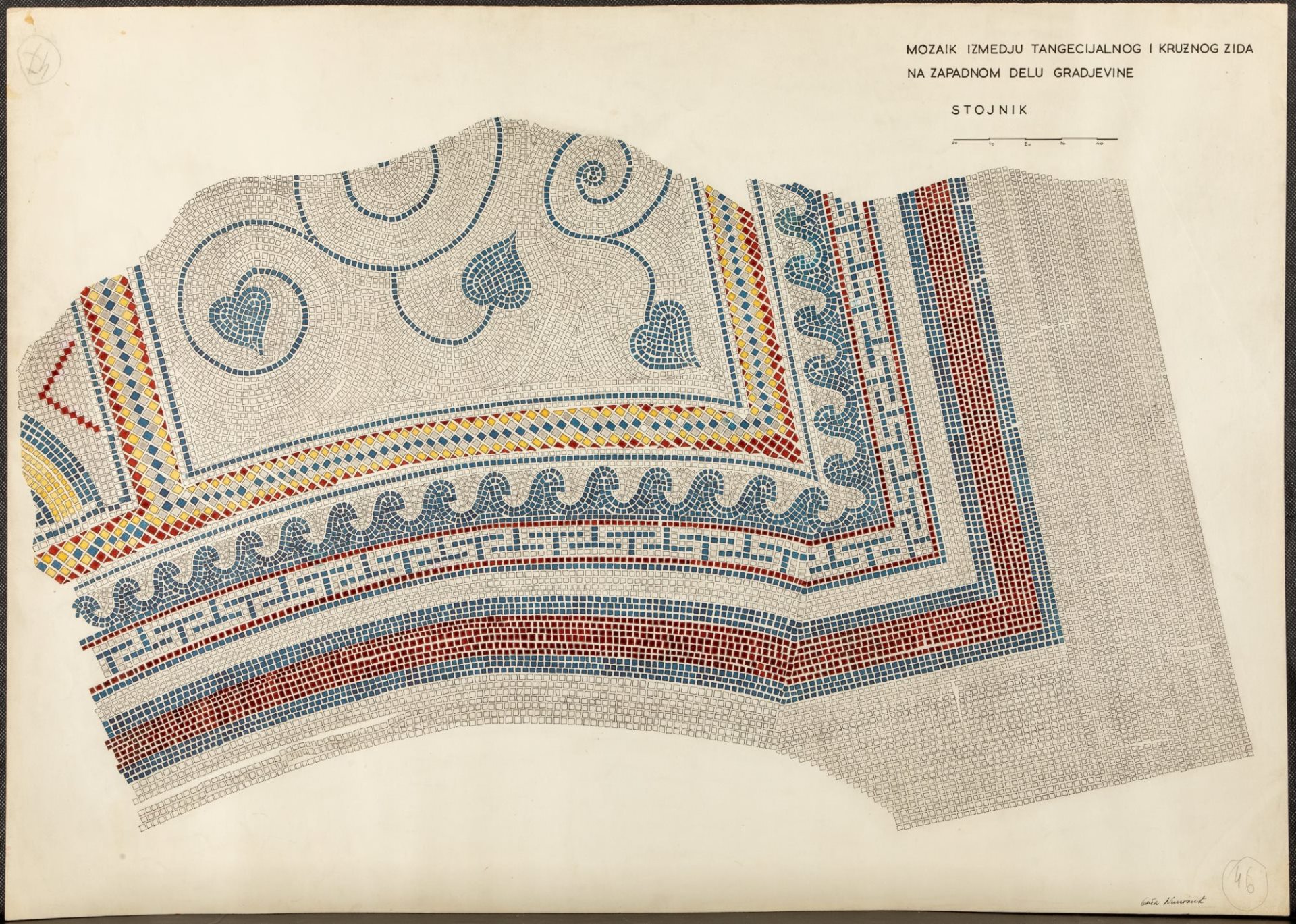 Motiv bršljana na mozaiku u rotondi, terenski crtež, autor Olga Nikolić, 1957, Dokumentacija NMS.jpg