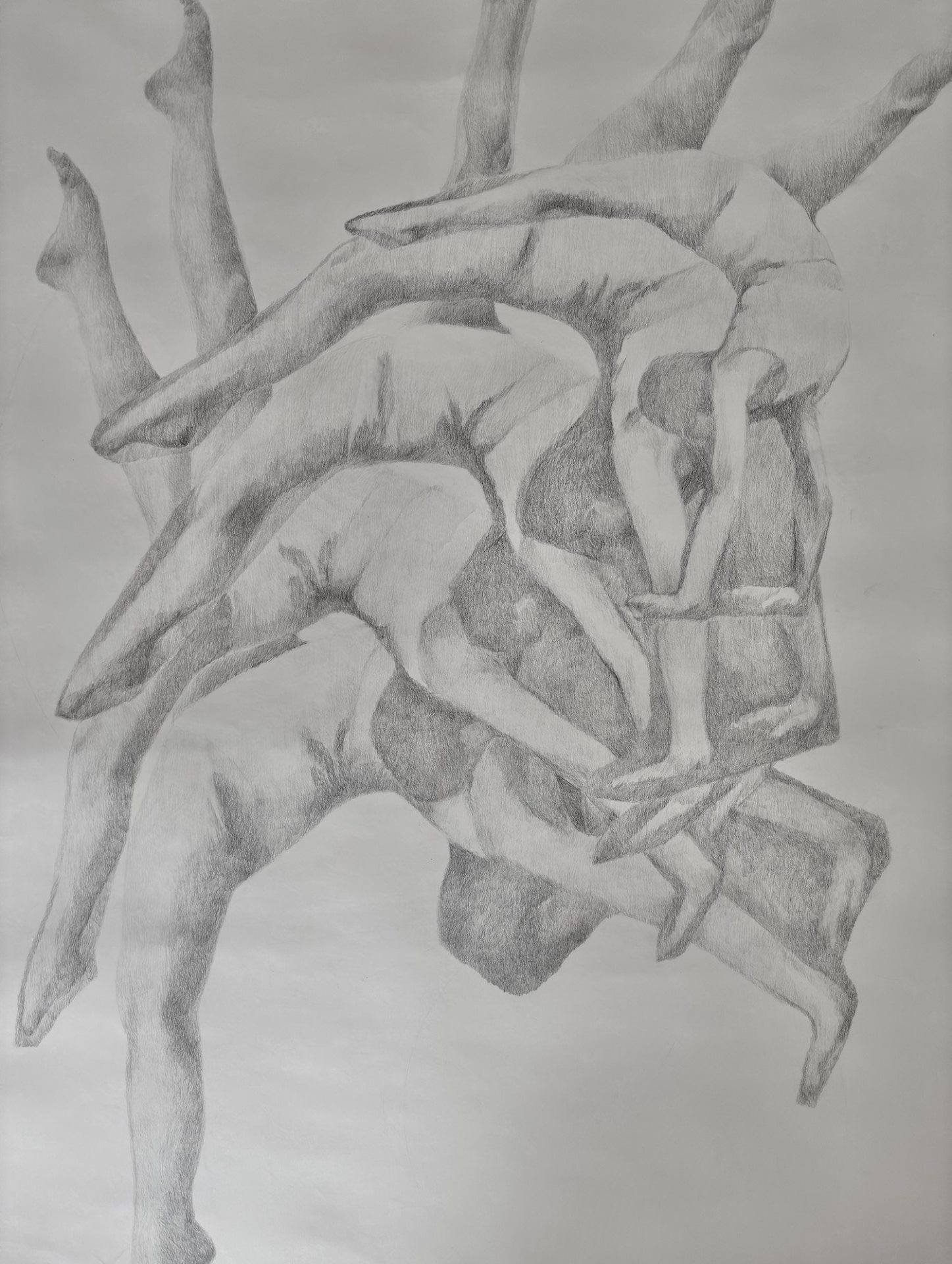 Bez naziva, olovka na papiru, 146h94 cm, 2025..jpeg