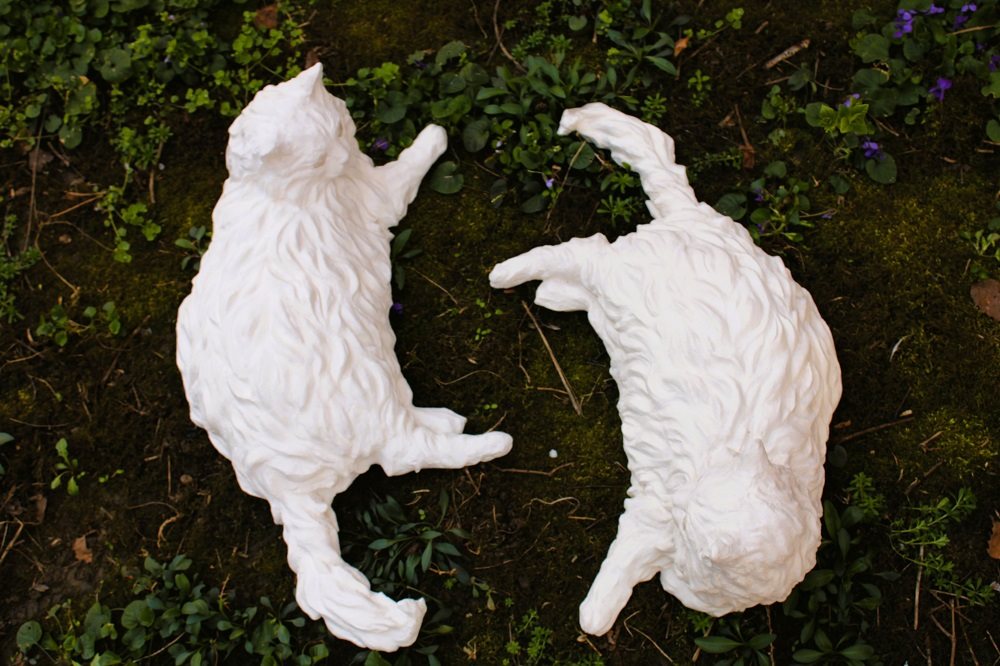 Ksenija Popović - Mačke, 2024..jpg