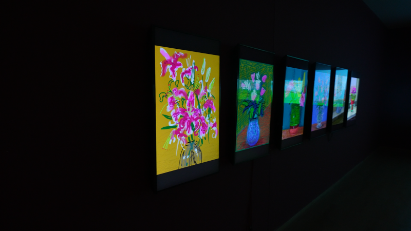 Дејвид Хокни у Музеју савремене уметности11.png