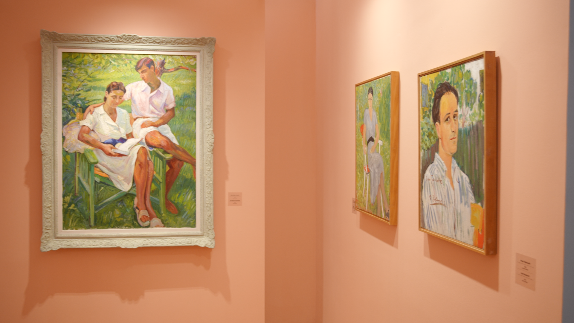 Легат Петра Добровића, опште информативни4.png