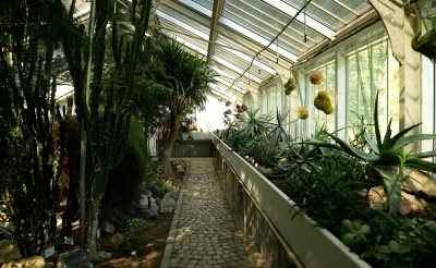 Staklenik u Botaničkoj bašti