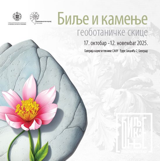 vertikalni baner za naslovnu sajta