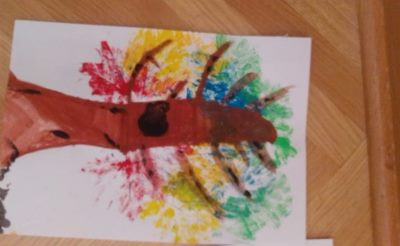 IMG_20221105_143953-1024x768 (1).jpg