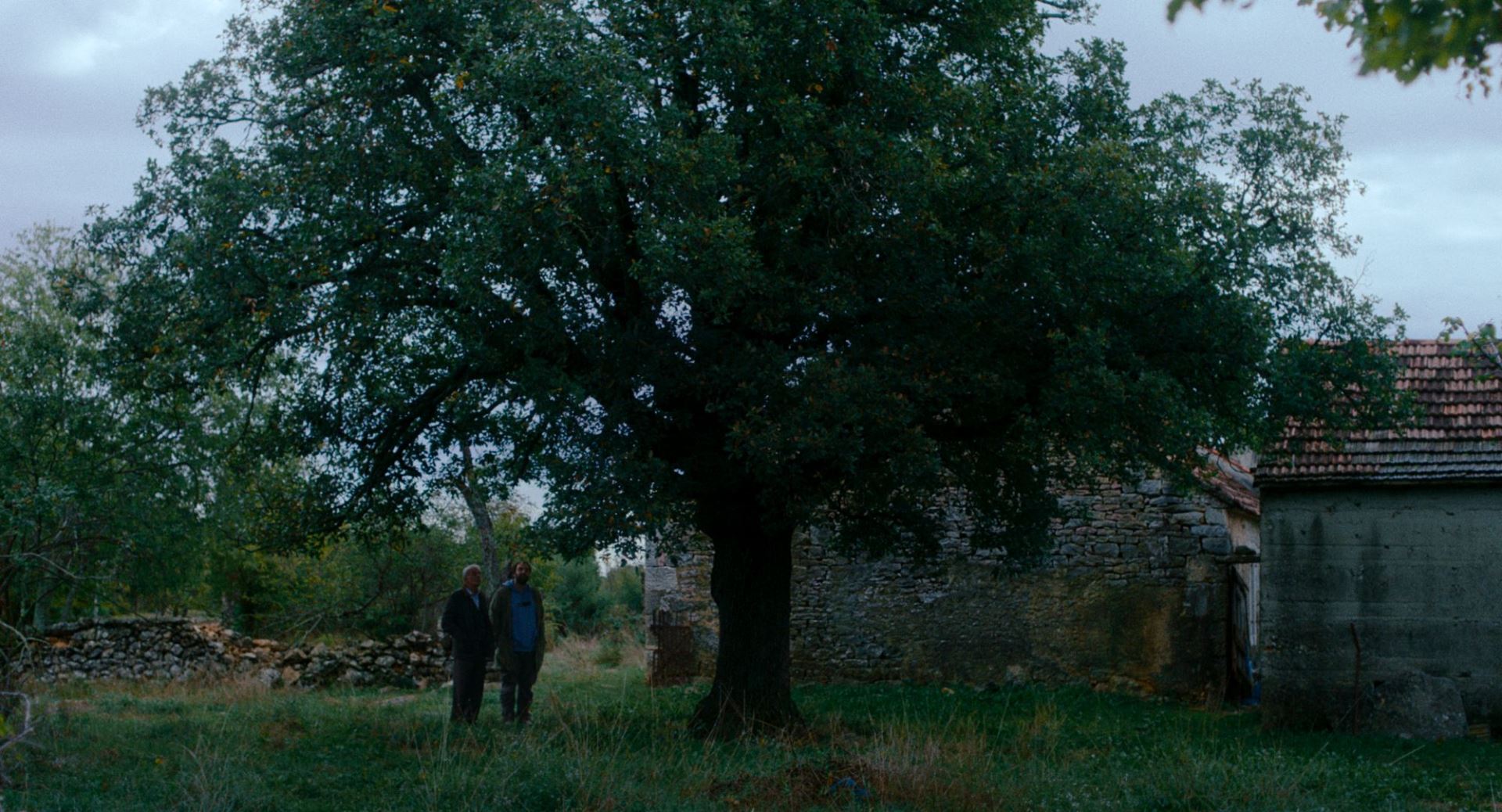 кадар из филма