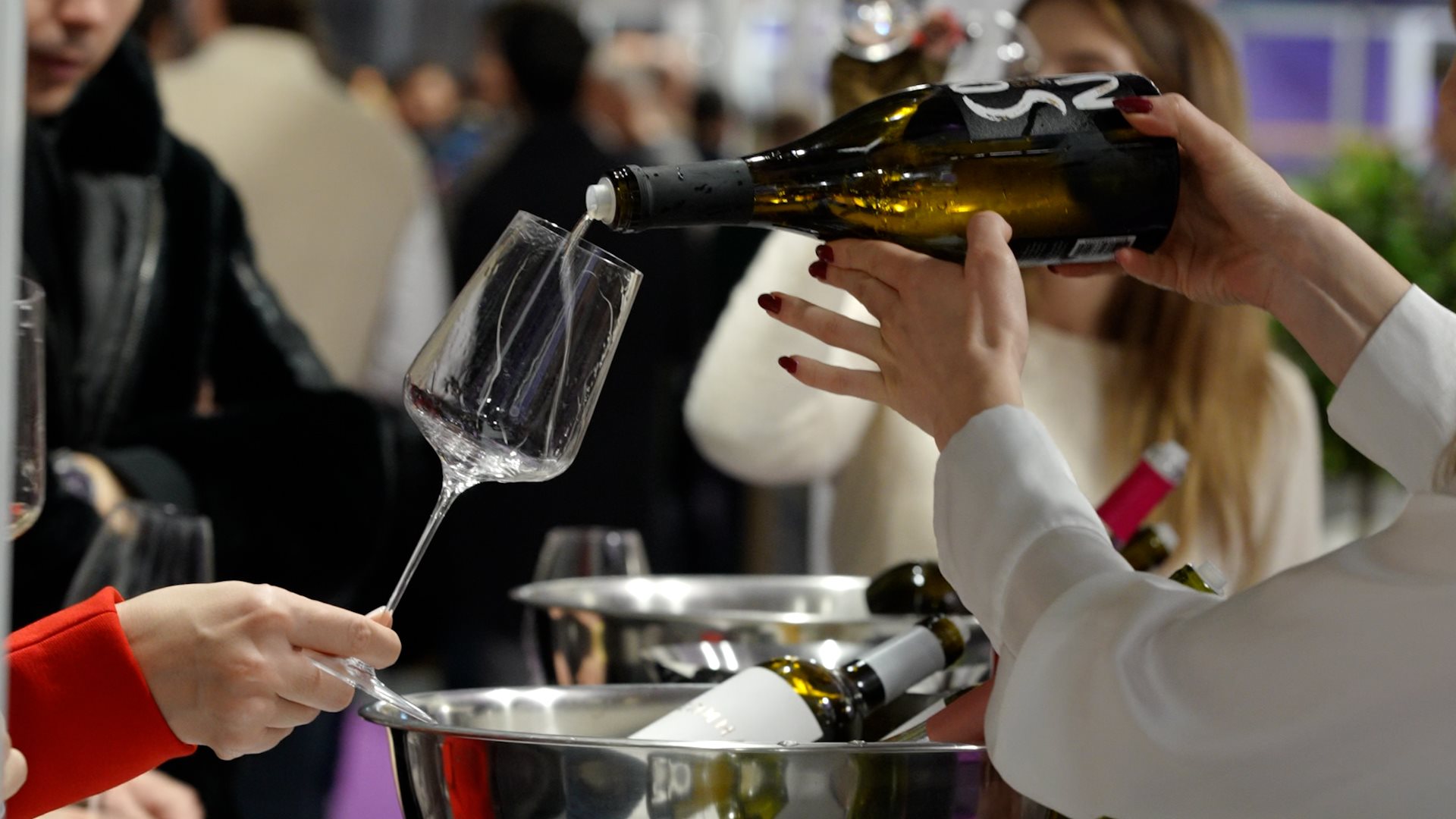 Grad Beograd - template 16x9.00_00_00_18.Still002.jpg