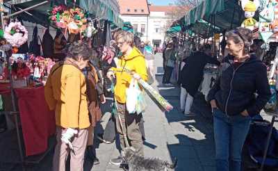 bum market Zemun.jpg