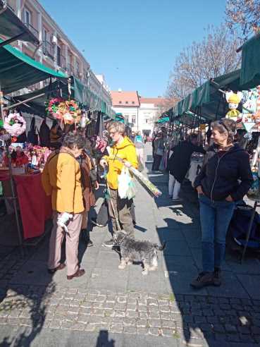 bum market Zemun.jpg