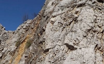 Isidora Branković Galerija DOB.jpg