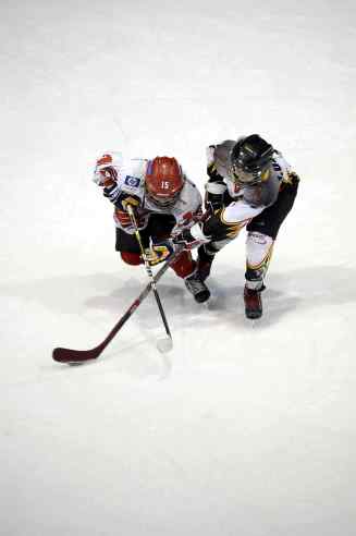 hokej.JPG