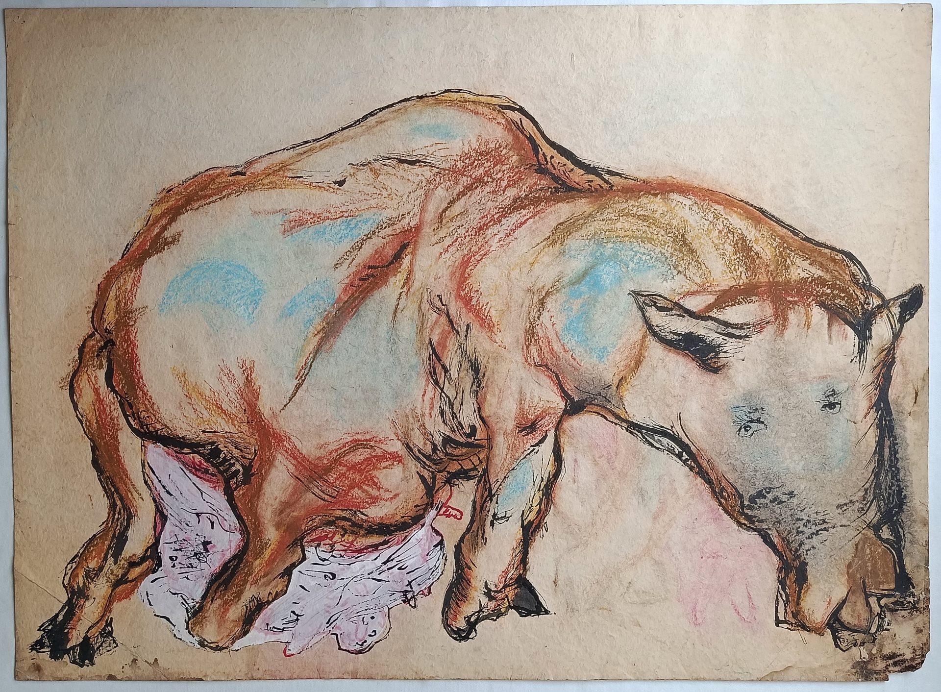 Рад Жарка Бјелице