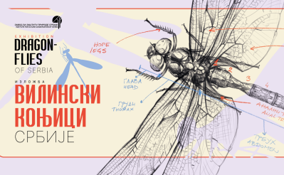 Изложба Вилински коњици у Галерији САНУ