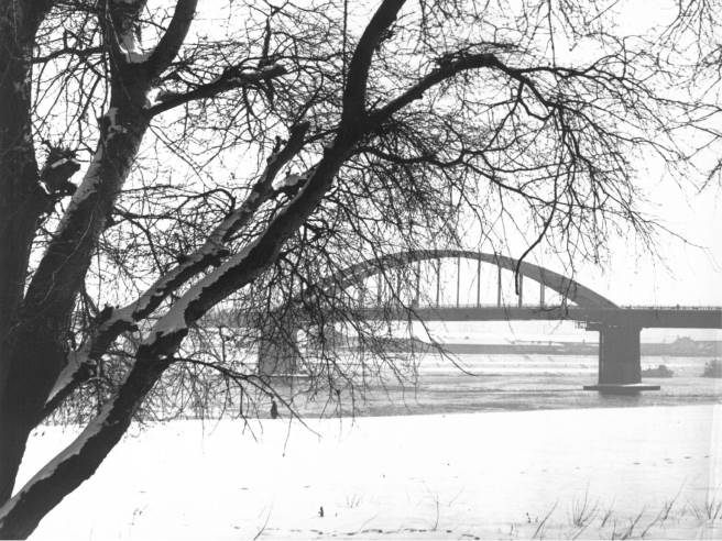 Фотографија Раца Булатовића