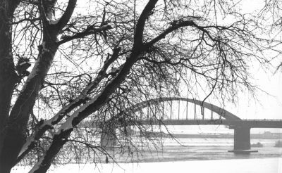 Фотографија Раца Булатовића