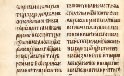 Opšti izgled strane.jpg