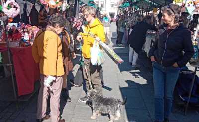 bum market foto .jpg