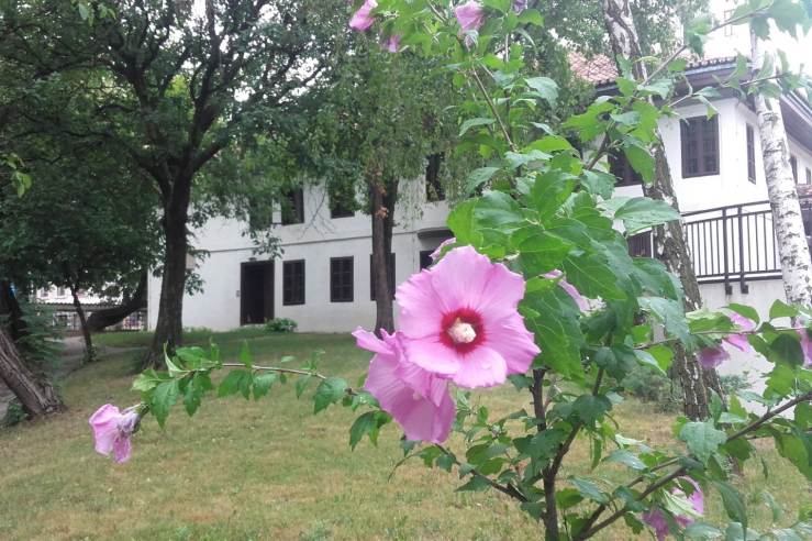 Muzej Vuka i Dositeja u proleće