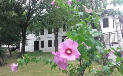 Muzej Vuka i Dositeja u proleće