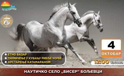 griva 26.jpg