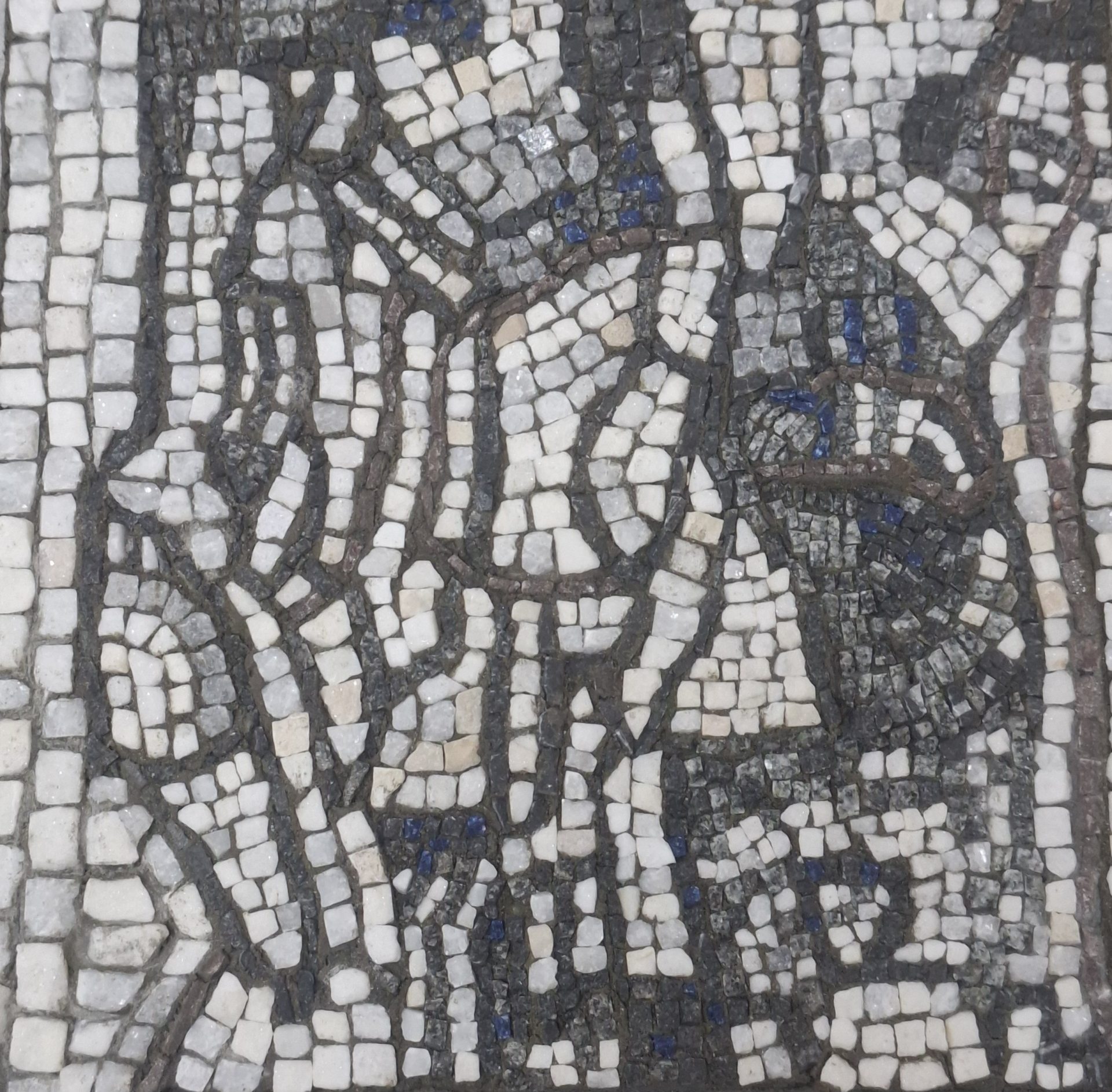 Dunja Denić, Bez naziva, 25x25 cm.jpg